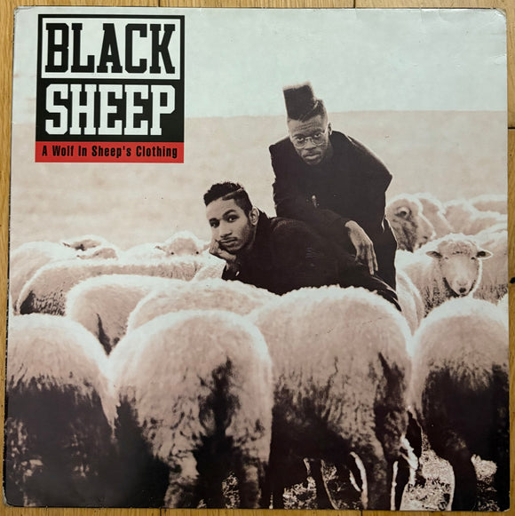 Black Sheep -  A Wolf In Sheep’s Clothing