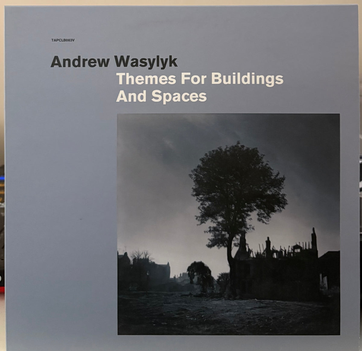 Andrew Wasylyk - Themes For Buildings And Spaces – Friendly Records Ltd